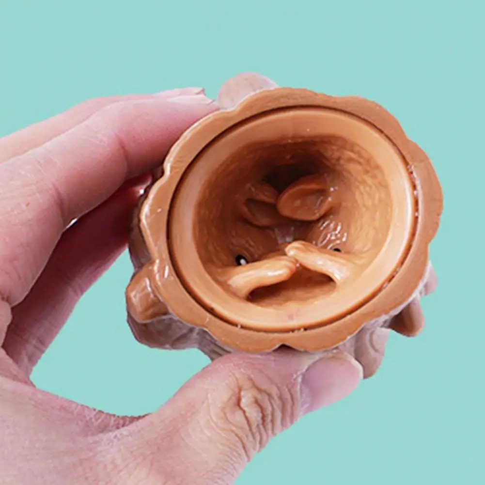 Pop Up divertido ratón y bloqu - Photography Jokes reseña y precio